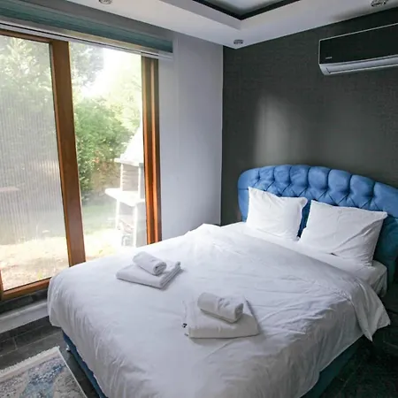 Villa Peaceful Villa With Private Pool In Sapanca Sakarya (Marmara)