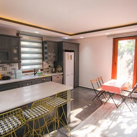 Peaceful Villa With Private Pool In Sapanca Villa