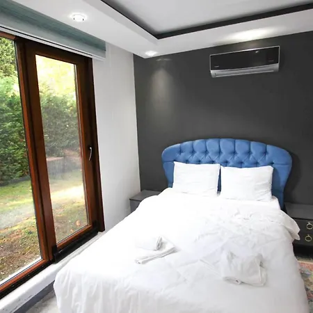 Villa Peaceful Villa With Private Pool In Sapanca *